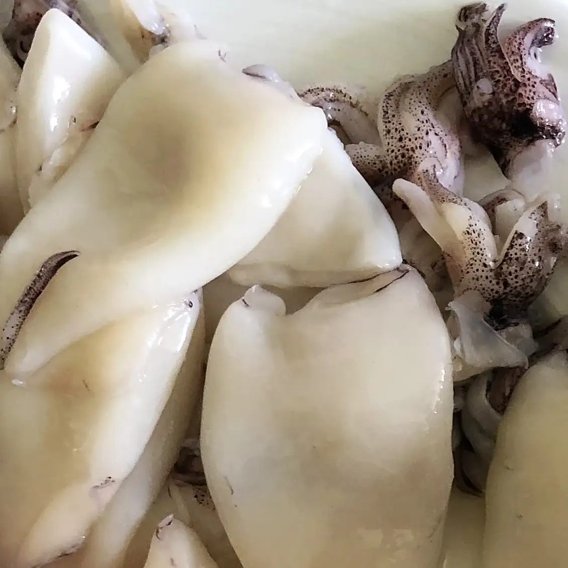 Calamar y Pulpo” style=