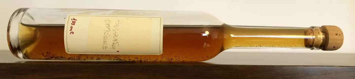 Löwenzahn Urtinktur