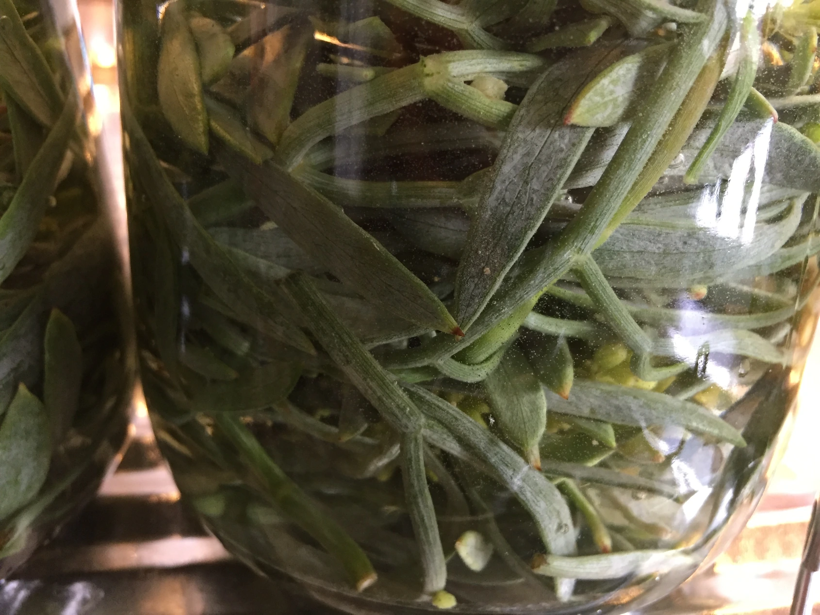 Kochen Privat” style=