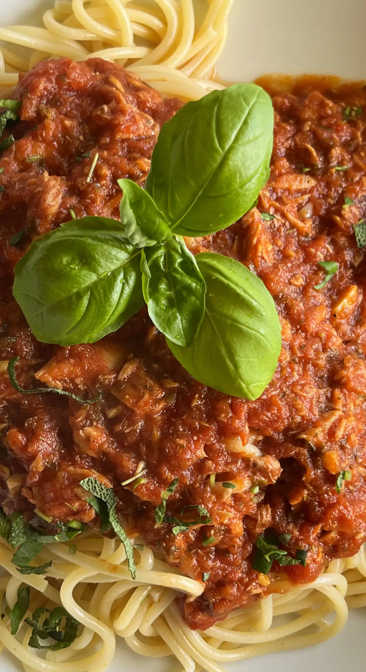 Tonno al sugo di pomodoro su spaghetti
