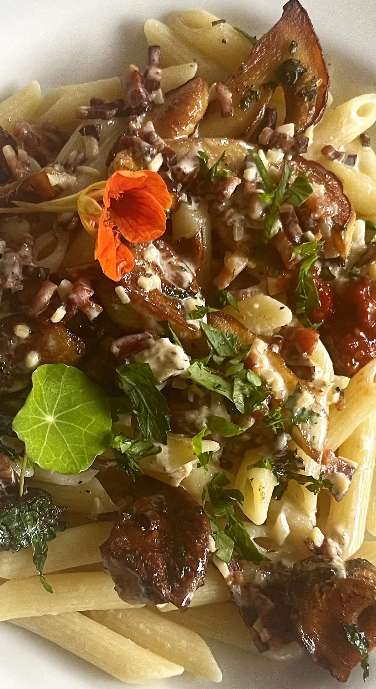 Steinpilze auf Penne