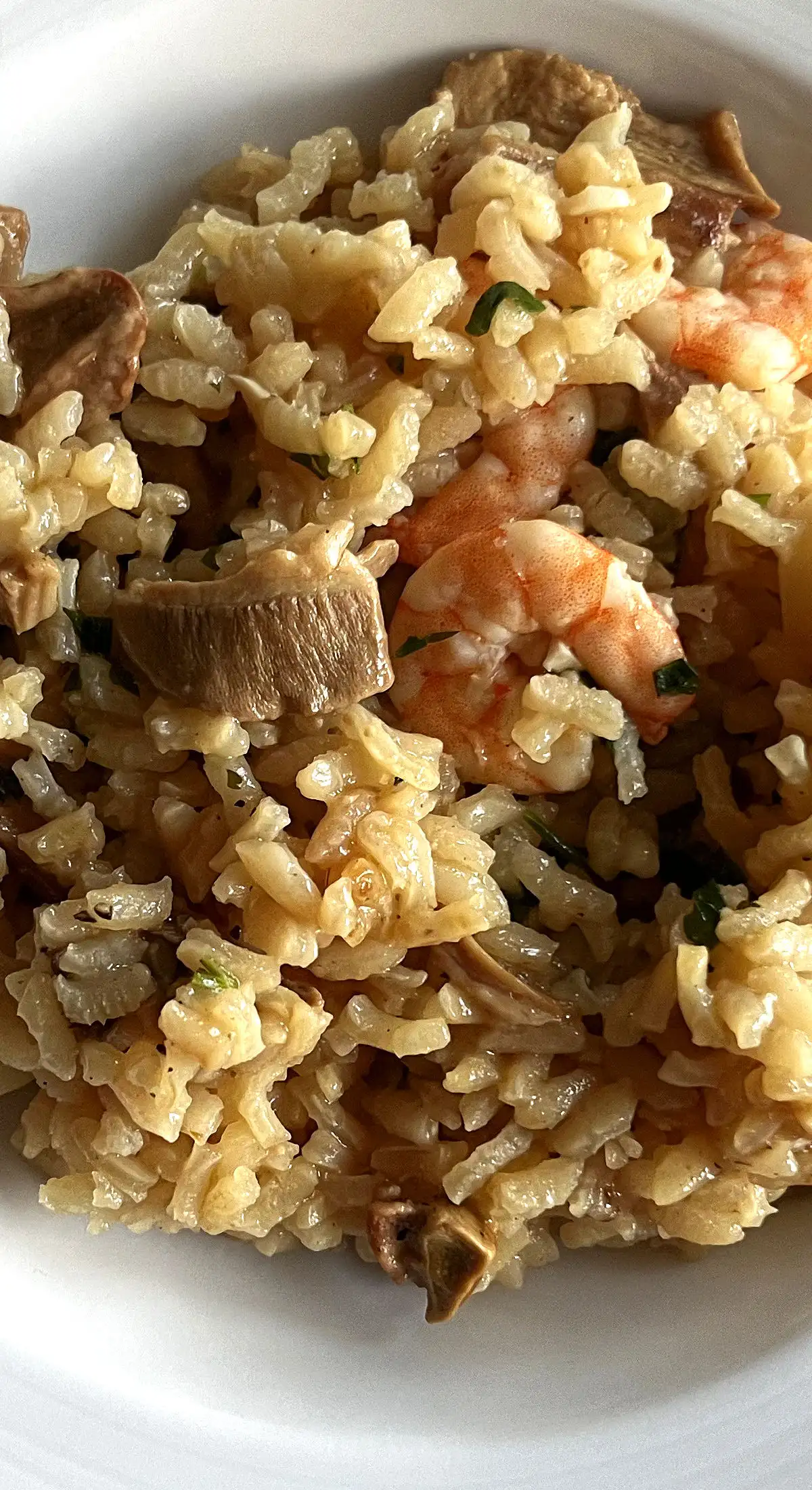 Steinpilz Risotto