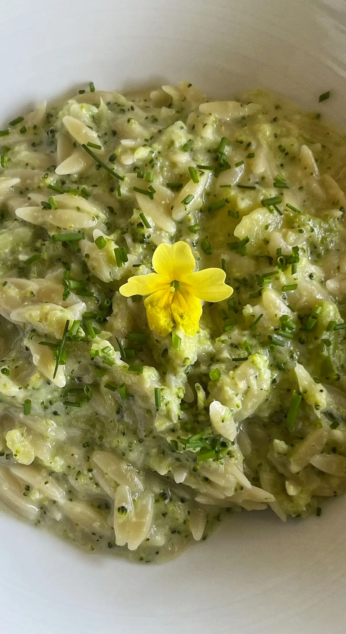 Kritharaki mit Bavaria blu und Brokkoli