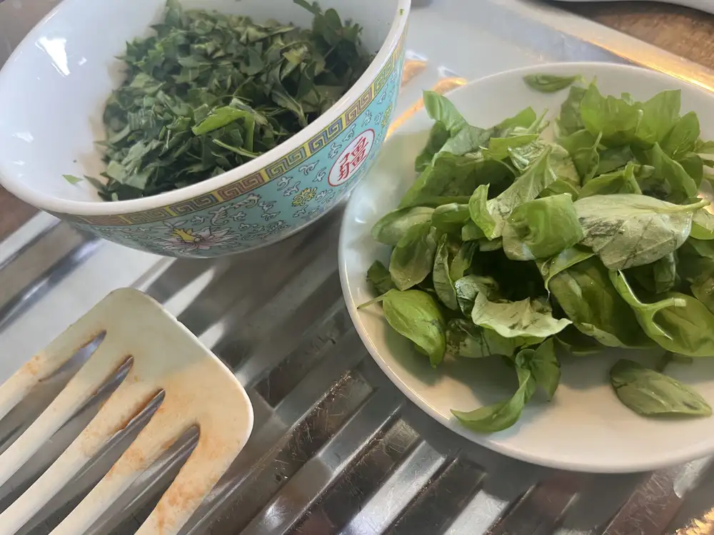 Pasta mit Tomaten-Melanzani