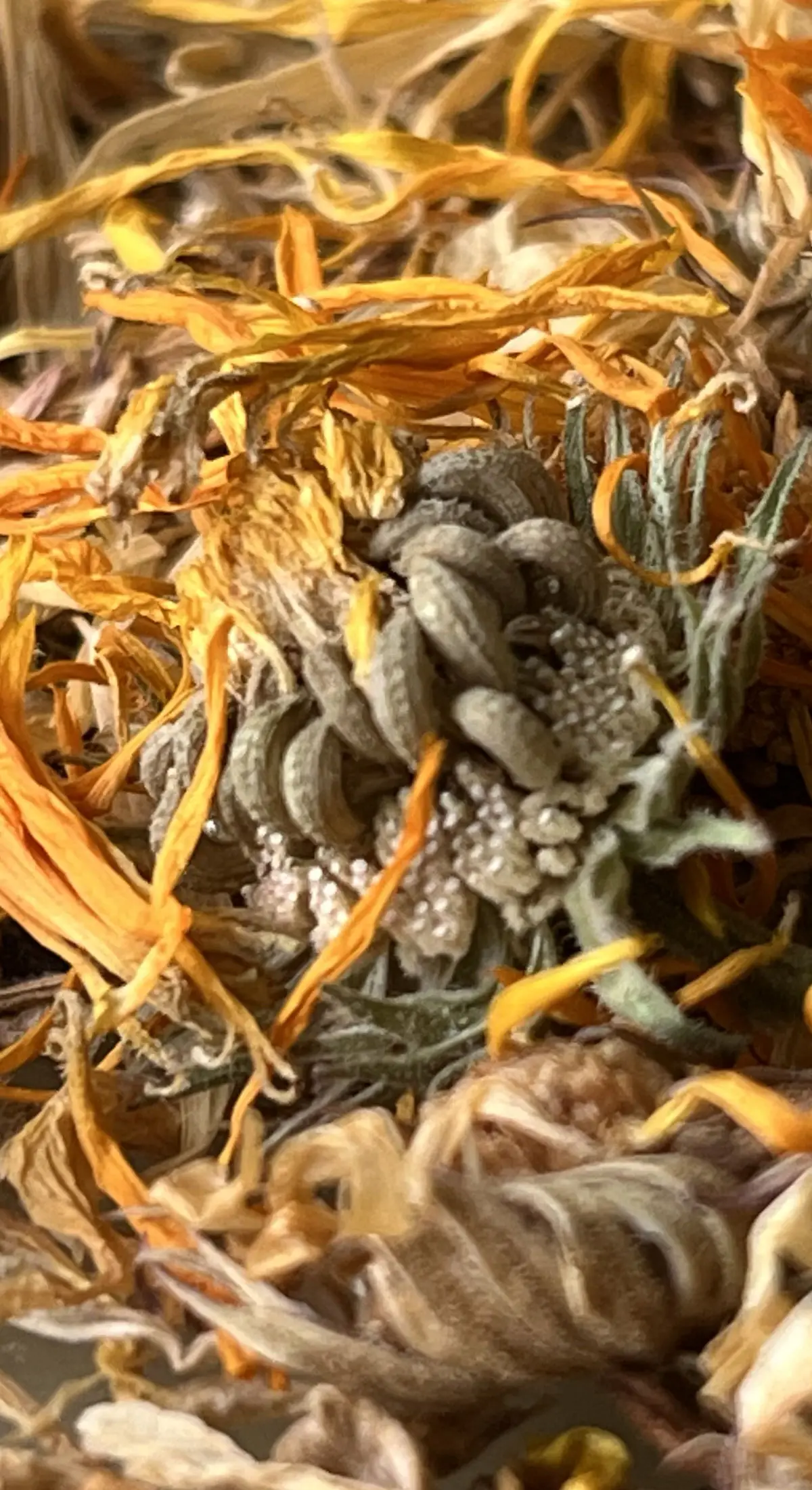 Ringelblume getrocknet