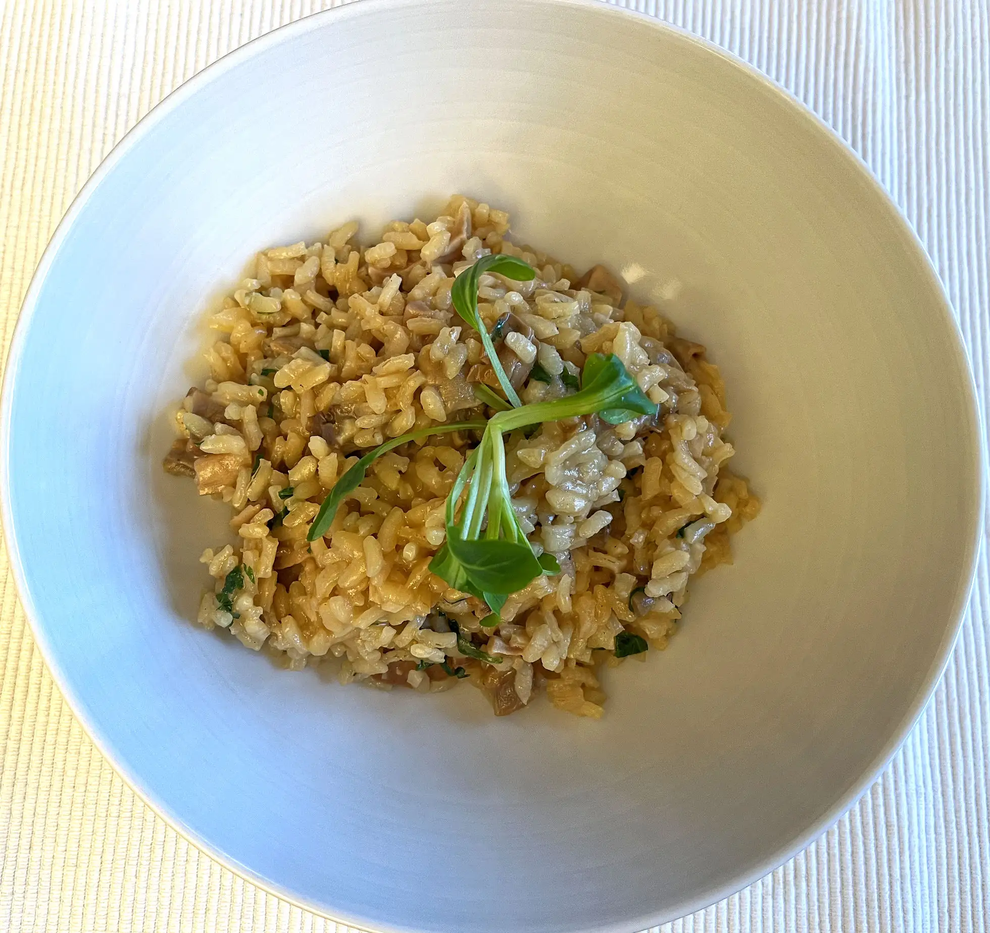 Steinpilz Risotto